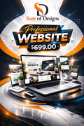 Professional Website